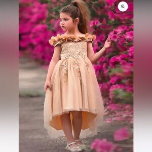 Gorgeous Trish Scully Belle Dress in Gold. Size 4.